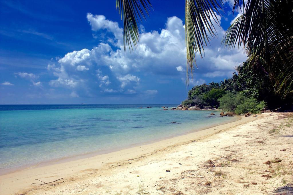 The Green Palm Ko Pha Ngan Zimmer foto